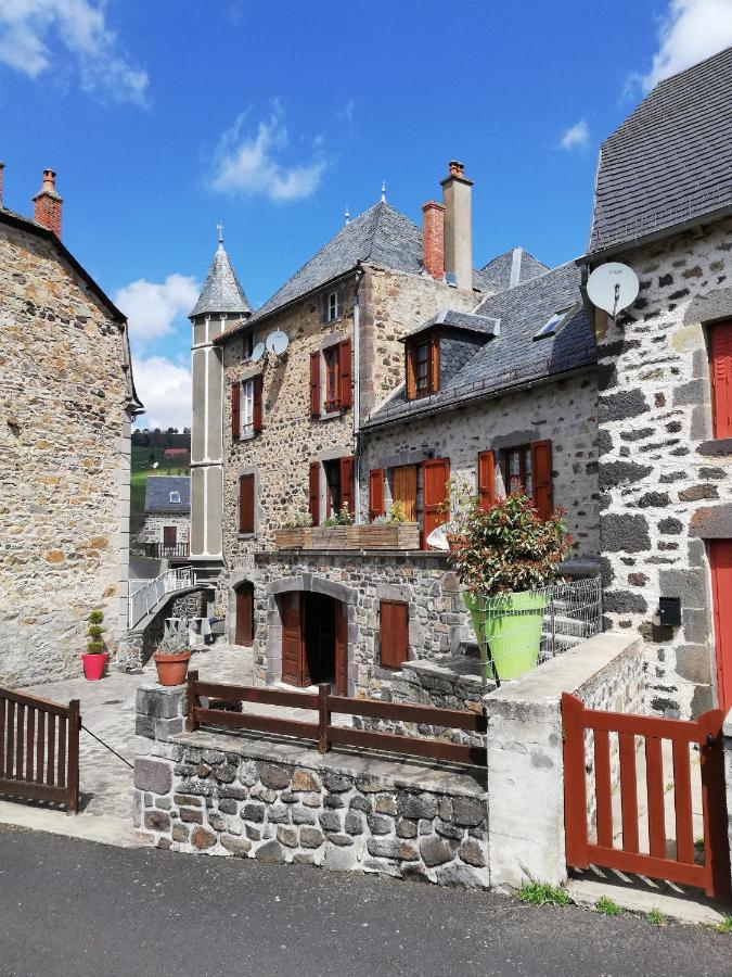 Maison Typique Pleine De Charme Peyrusse Cantal Exterior photo