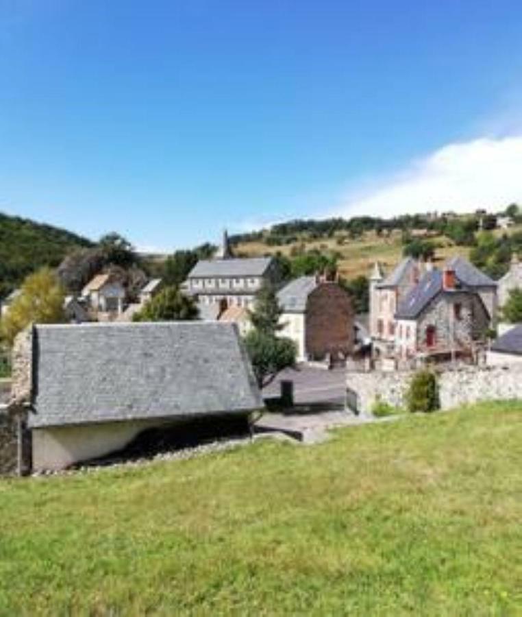 Maison Typique Pleine De Charme Peyrusse Cantal Exterior photo